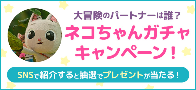 大冒険のパートナーは誰？ネコちゃんガチャキャンペーン！SNSで紹介すると抽選でプレゼントが当たる！